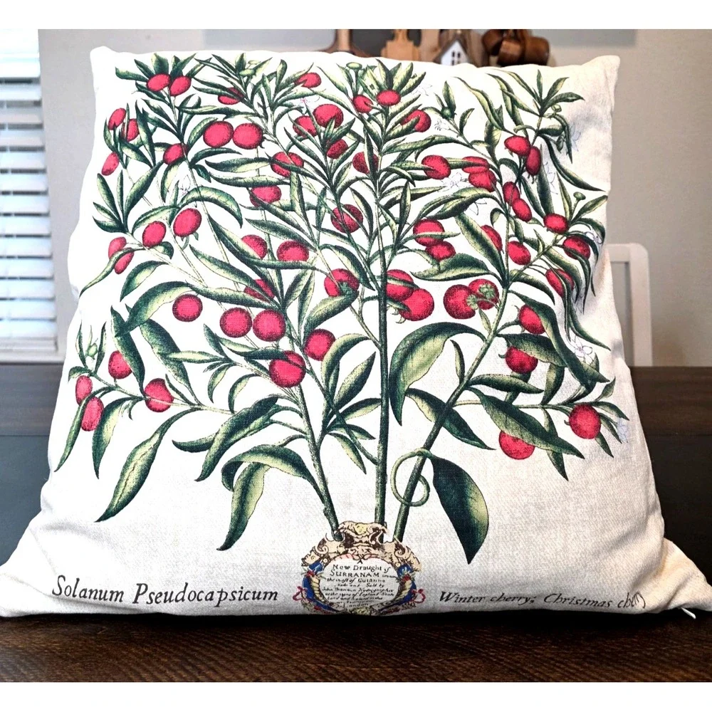 Pottery Barn Winter Cherry Christmas Pillow Insert & Cover Holiday Linen 20 x 20